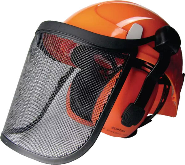 Location Montana Forest Casque de protection avec visière à Lausanne – DALC